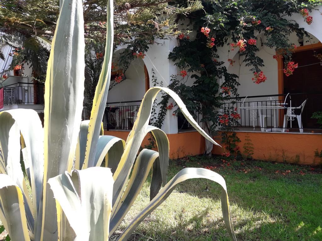 Studios Dimitris Punta Exterior photo