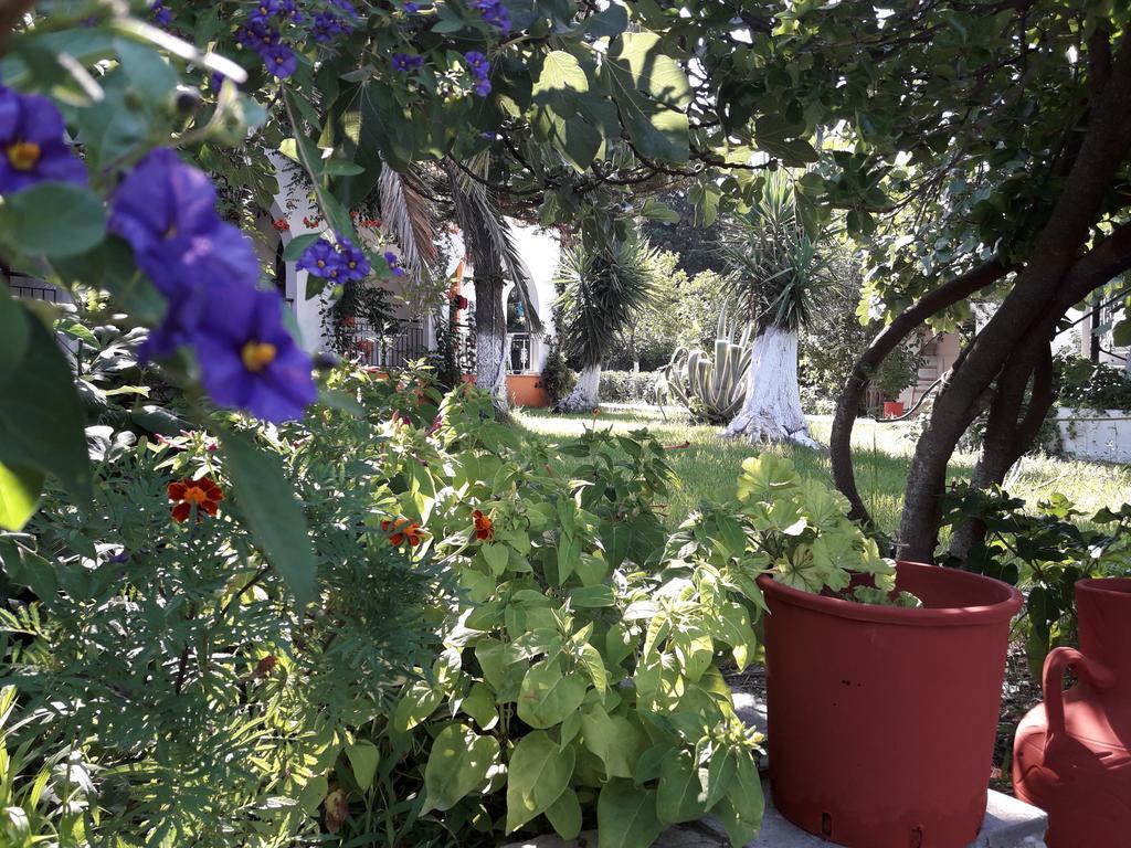Studios Dimitris Punta Exterior photo