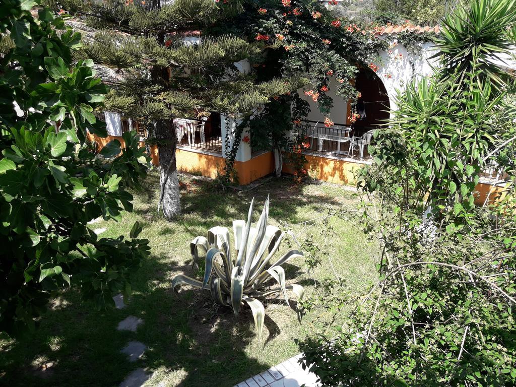 Studios Dimitris Punta Exterior photo