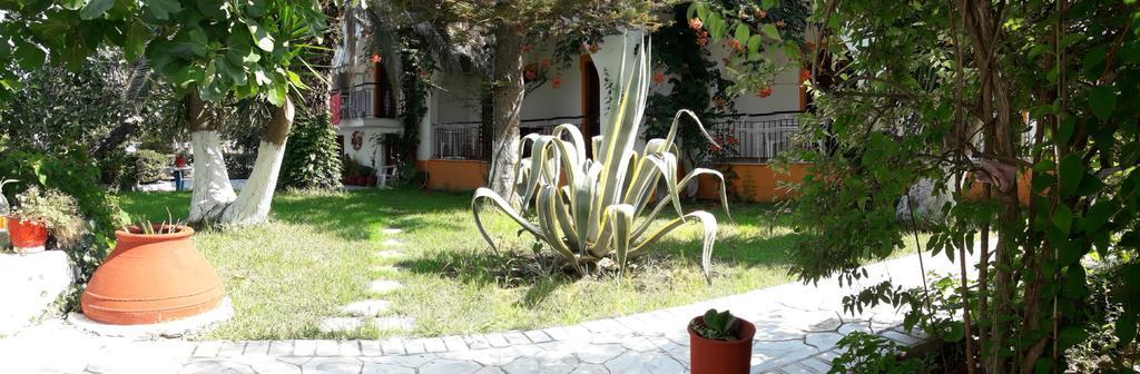 Studios Dimitris Punta Exterior photo