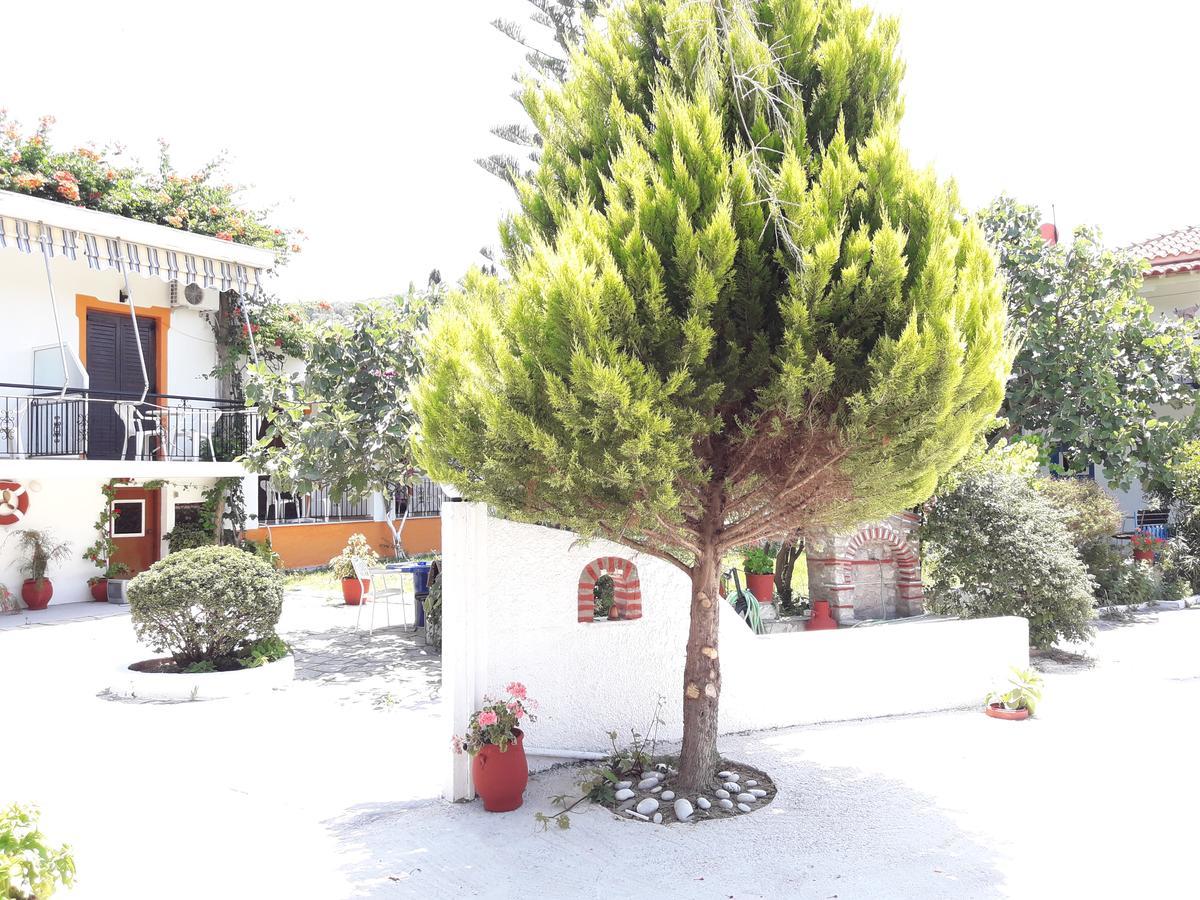 Studios Dimitris Punta Exterior photo