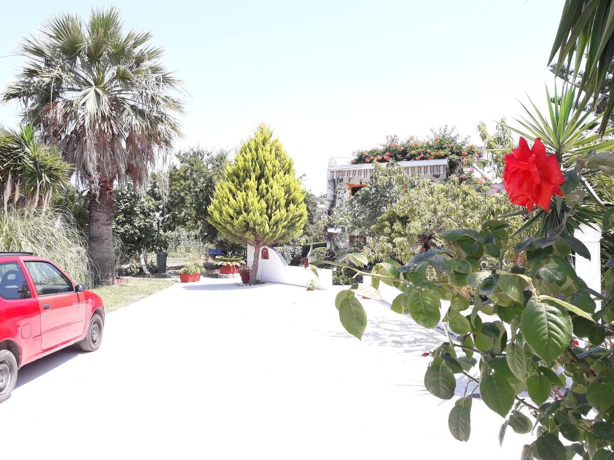Studios Dimitris Punta Exterior photo