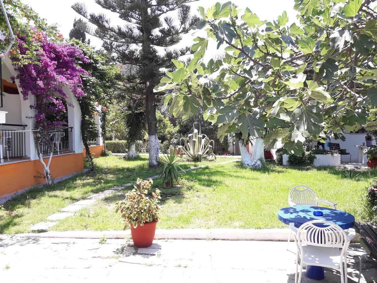 Studios Dimitris Punta Exterior photo