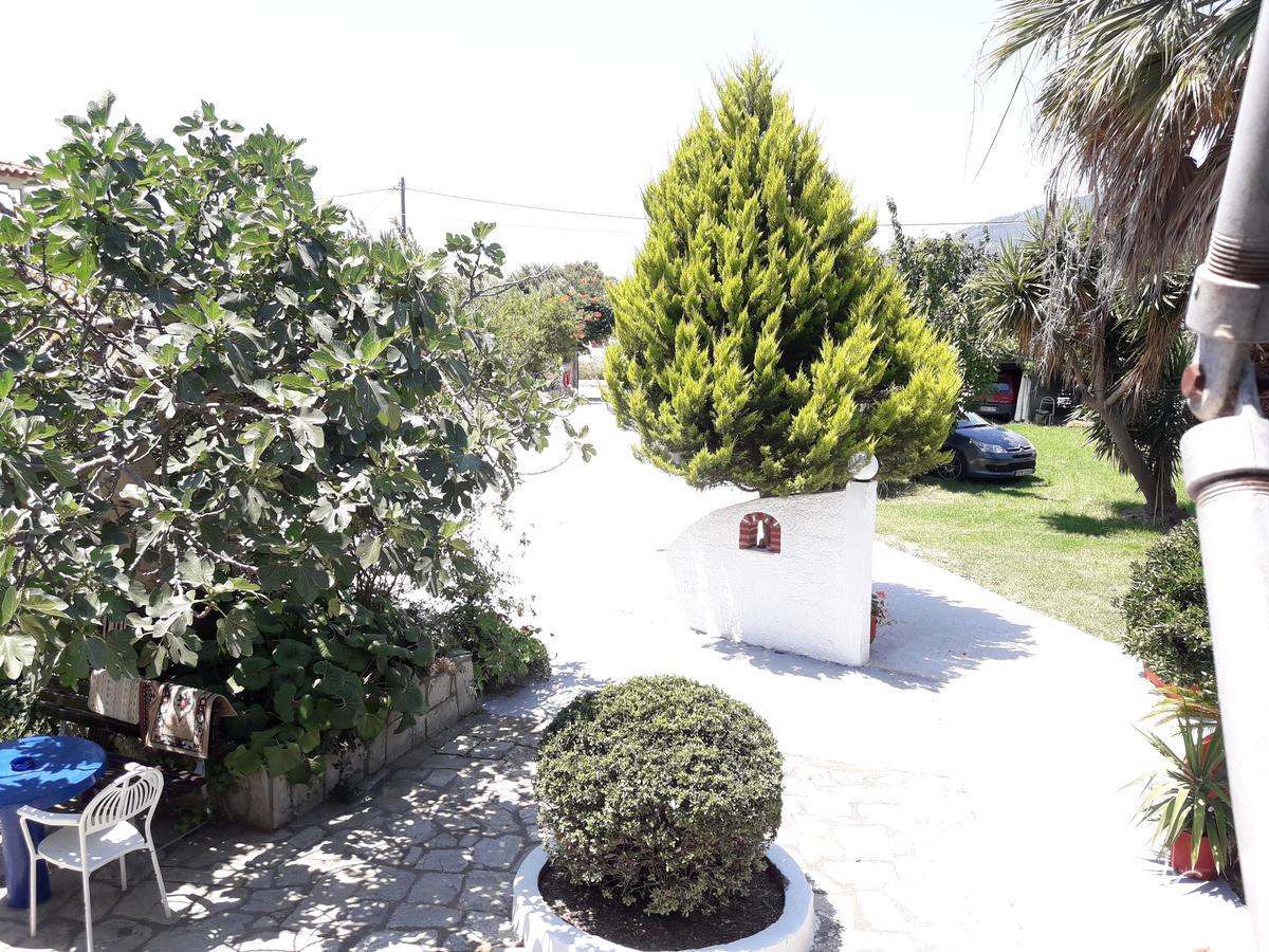 Studios Dimitris Punta Exterior photo