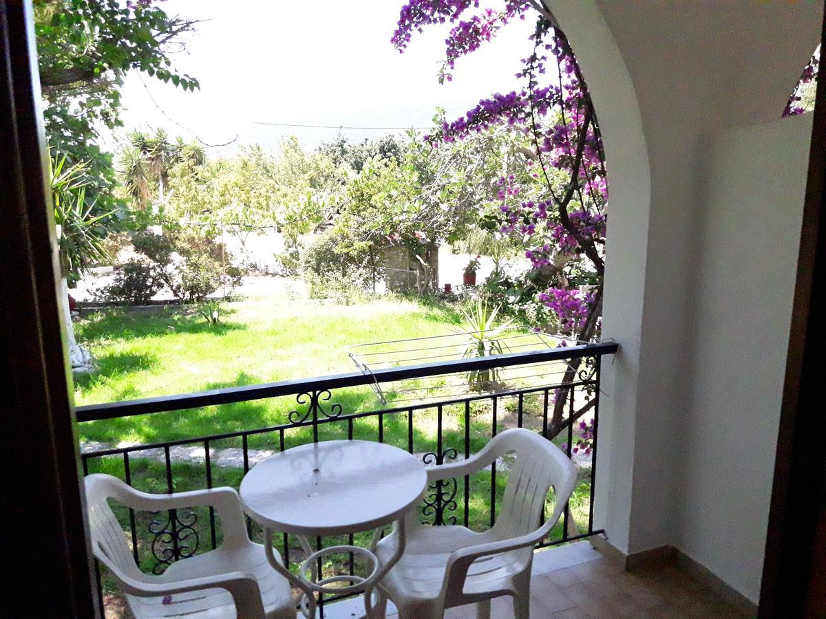 Studios Dimitris Punta Exterior photo